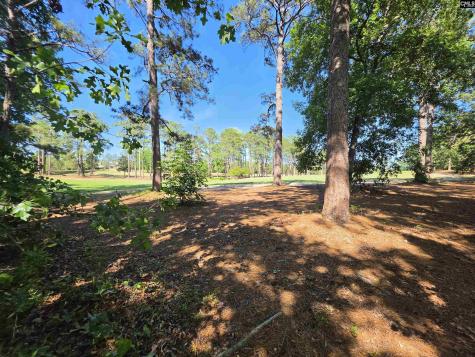 120 Creekside Cottage Court Blythewood SC 29016