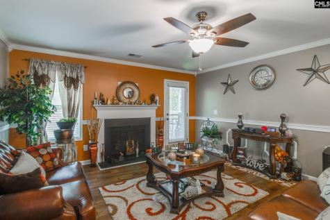 249 Drooping Leaf Road Lexington SC 29072