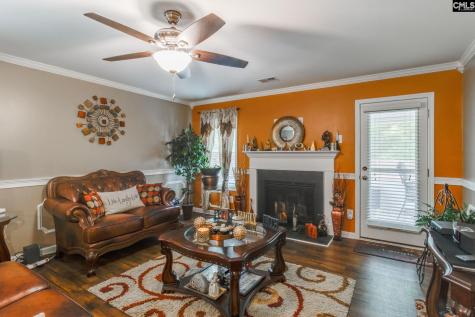 249 Drooping Leaf Road Lexington SC 29072