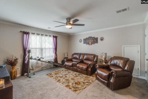 249 Drooping Leaf Road Lexington SC 29072