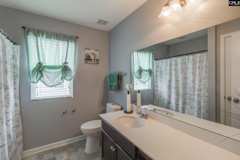 249 Drooping Leaf Road Lexington SC 29072