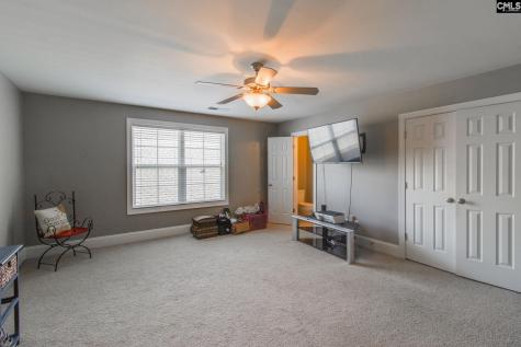 40 Palmetto Woods Court Irmo SC 29063