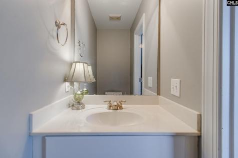 40 Palmetto Woods Court Irmo SC 29063