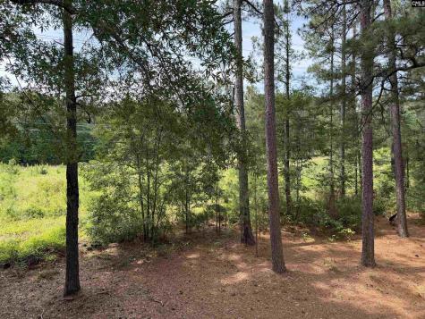 29 Battery Walk Court Columbia SC 29212
