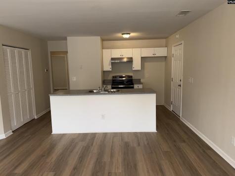 29 Battery Walk Court Columbia SC 29212