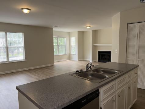 29 Battery Walk Court Columbia SC 29212