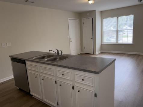 29 Battery Walk Court Columbia SC 29212