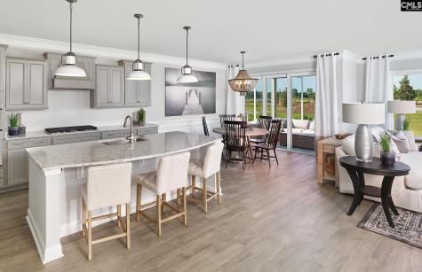 349 Mont Haven Place Lexington SC 29072