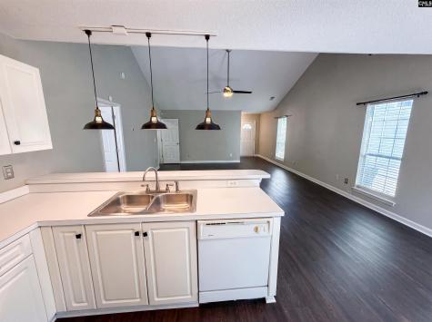 4 Bucktail Way Irmo SC 29063