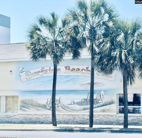 12 S Dogwood Surfside Beach SC 29575