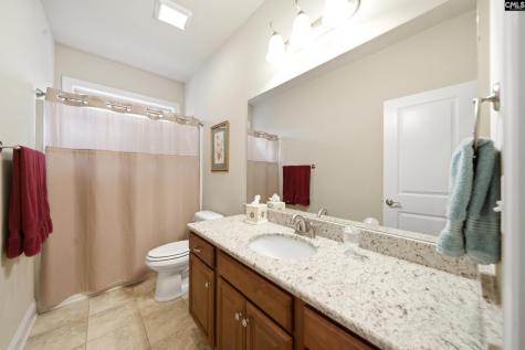 309 Honey Tree Drive Lexington SC 29073