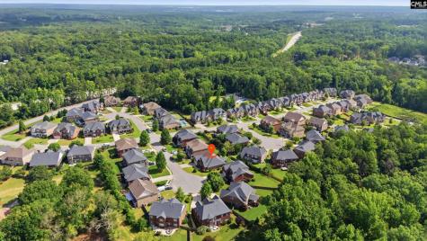 309 Honey Tree Drive Lexington SC 29073
