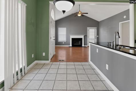 203 Caddis Creek Road Irmo SC 29063-8142