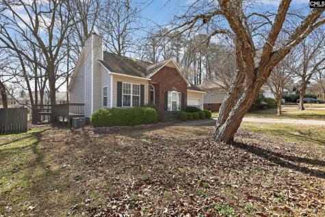 203 Caddis Creek Road Irmo SC 29063-8142