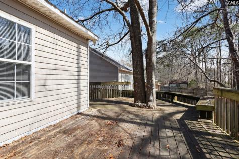 203 Caddis Creek Road Irmo SC 29063-8142