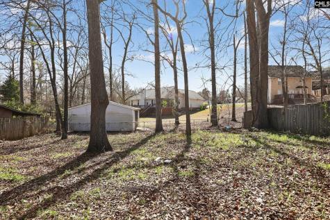203 Caddis Creek Road Irmo SC 29063-8142