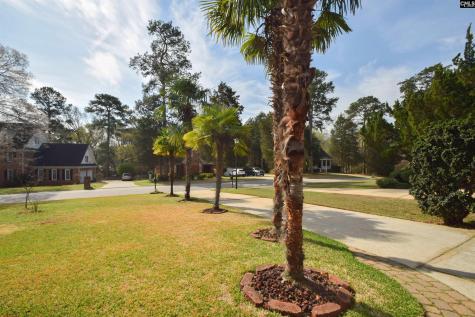 209 Doulton Way Columbia SC 29212
