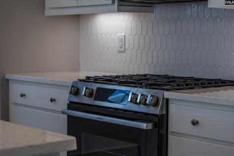1209 Tributary Road Lexington SC 29072