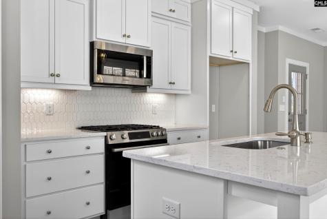 1209 Tributary Road Lexington SC 29072
