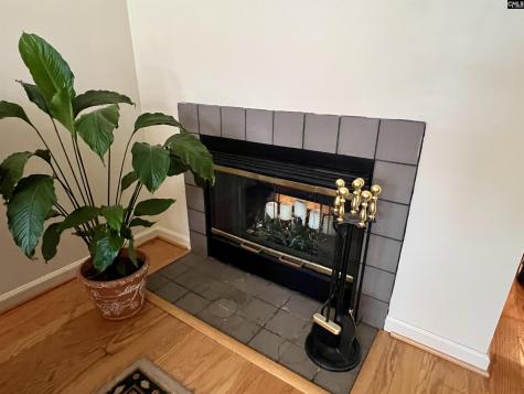 188 Carlyle Circle Columbia SC 29206