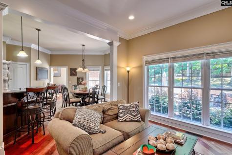 246 Gallantry Drive Irmo SC 29063-9540