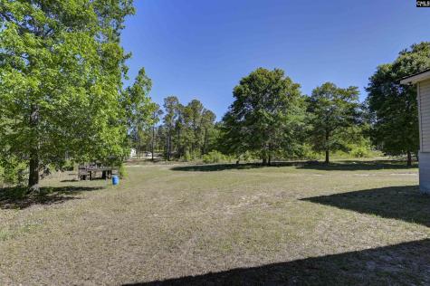 613 Arabian Drive Lexington SC 29073