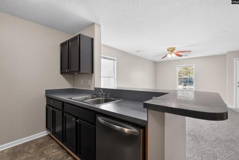 308 E Waverly Place Court Columbia SC 29229