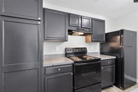 308 E Waverly Place Court Columbia SC 29229