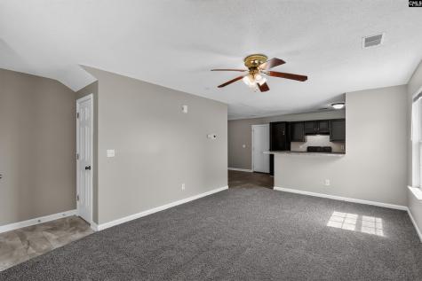 308 E Waverly Place Court Columbia SC 29229