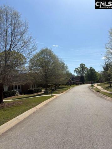 108 Black Walnut Drive Lexington SC 29072