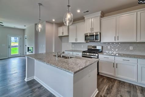 563 Swamp Grass Drive Columbia SC 29209