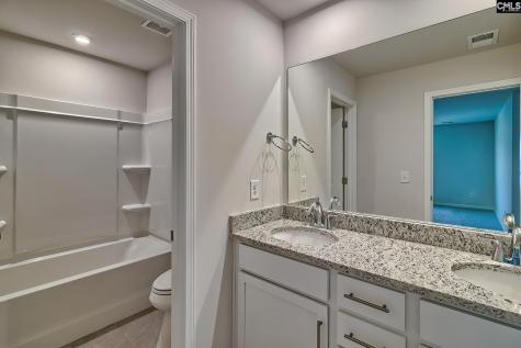 563 Swamp Grass Drive Columbia SC 29209