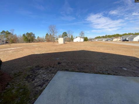 100 Battery Creek Drive Gaston SC 29053