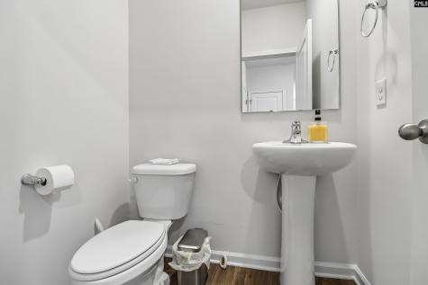 1213 Carnation Court Lexington SC 29072