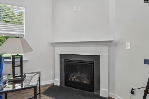 1213 Carnation Court Lexington SC 29072