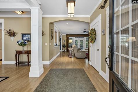 241 Pointe Overlook Drive Chapin SC 29036
