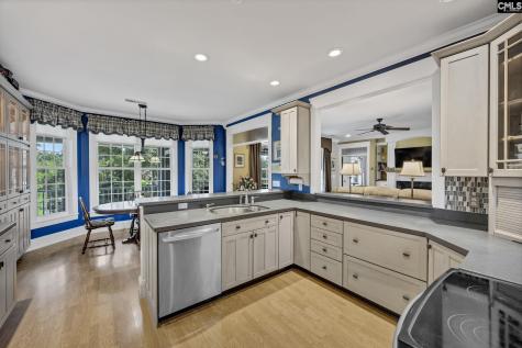 241 Pointe Overlook Drive Chapin SC 29036