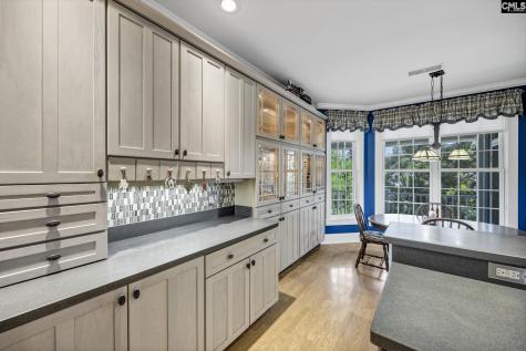 241 Pointe Overlook Drive Chapin SC 29036