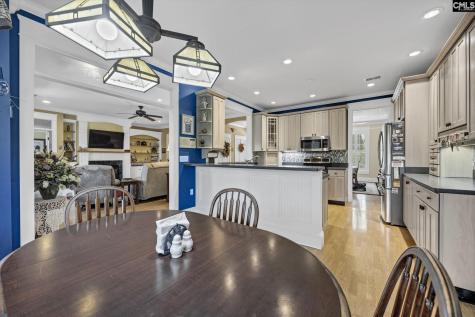 241 Pointe Overlook Drive Chapin SC 29036