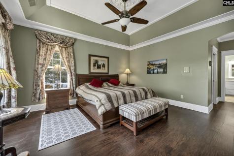 241 Pointe Overlook Drive Chapin SC 29036