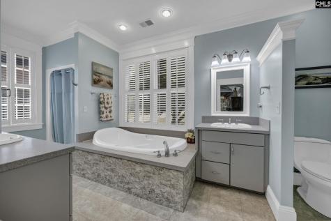 241 Pointe Overlook Drive Chapin SC 29036