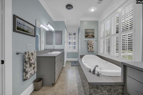 241 Pointe Overlook Drive Chapin SC 29036