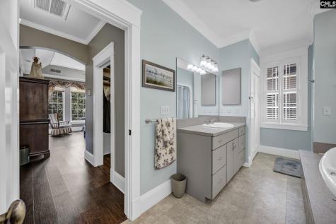 241 Pointe Overlook Drive Chapin SC 29036
