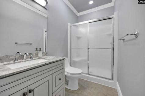 241 Pointe Overlook Drive Chapin SC 29036