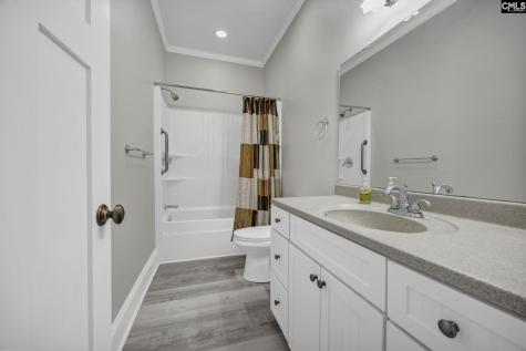 241 Pointe Overlook Drive Chapin SC 29036
