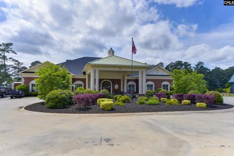 241 Pointe Overlook Drive Chapin SC 29036