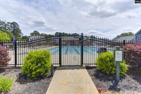 241 Pointe Overlook Drive Chapin SC 29036