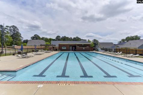 241 Pointe Overlook Drive Chapin SC 29036