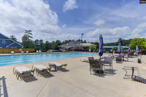 241 Pointe Overlook Drive Chapin SC 29036