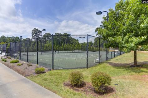 241 Pointe Overlook Drive Chapin SC 29036